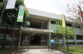 Biblioteca Monteiro Lobato - Foto: Universo literário