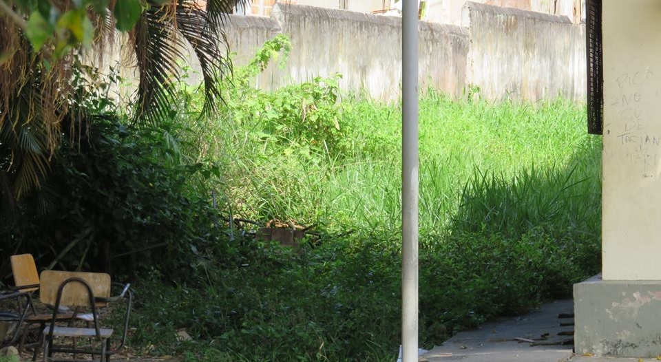 Colégio Estadual Lindembergue Cardoso, em Praia Grande