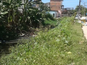 Rio Xangô II - Imagem registrada por um morador em setembro.