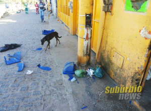 Vândalos destroem lixeiras na praia de Tubarão - Fotos: Maura Vieira