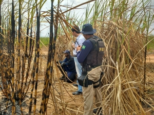 Empresa açucareira é atuada em flagrante por trabalho escravo na Bahia