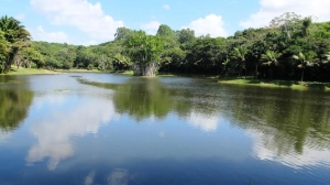 Verão Eco Parque Sauípe