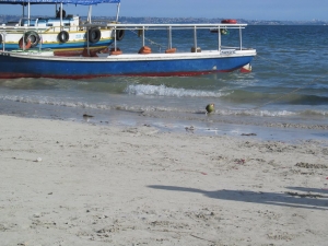 Ilha de Maré - Foto: Digo Bruenlli