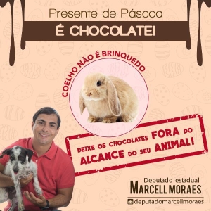 Marcell_coelhos