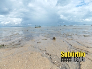 Praias do Suburbio contaminadas 2