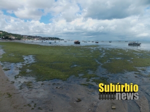 Praias do Suburbio contaminadas 4