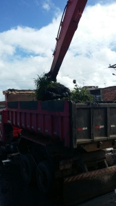 Canal Paraguari