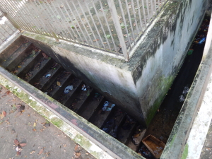 fonte_da_graca 008