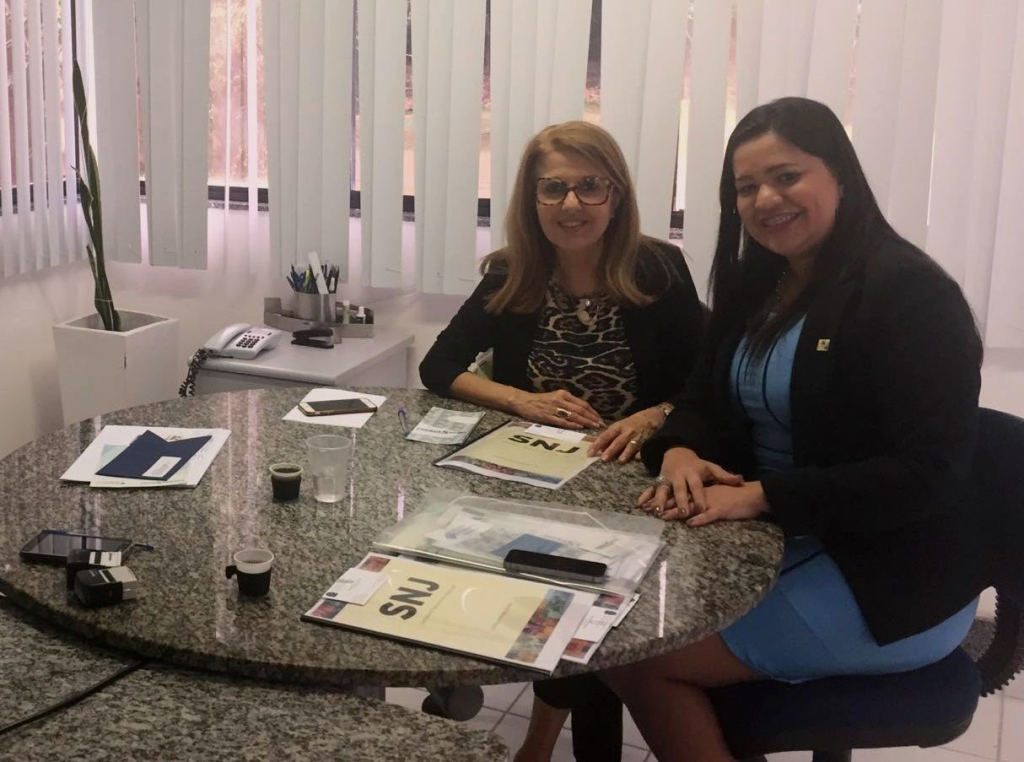 Presidente do PMDB Jovem – BA discute parcerias entre a SNJ e ONG baiana em Salvador_01